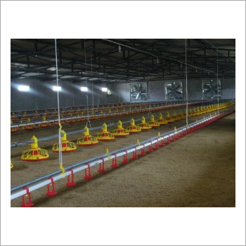 Poultry Feeding Equipment