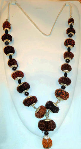 7 Mukhi Rudraksh