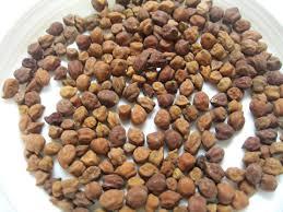 black chana
