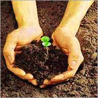 Soil Pollution Treatment Services