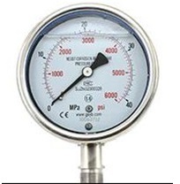 pressure gauge
