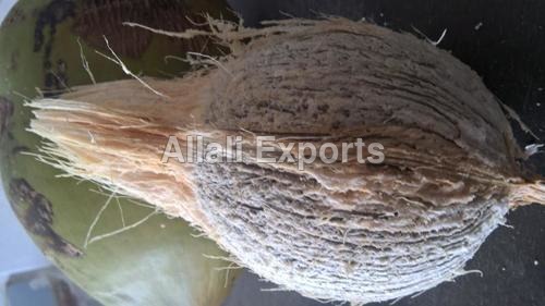 Husked Coconut