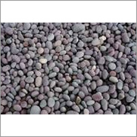 Garden Pebbles