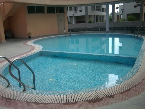 Pool Construction Services