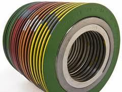 Spiral Ring Gasket