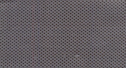 Dupion Raidana Fabric