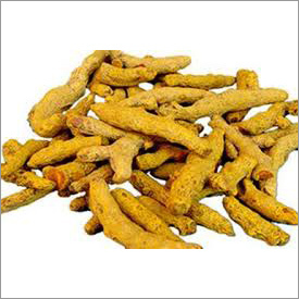 Turmeric Finger