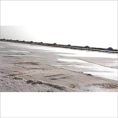 Raw Sea Salt