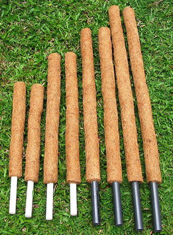 Coir Poles (Moss Stick)