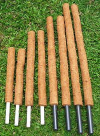 Coir Poles (moss Stick)