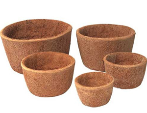 Coir Pots