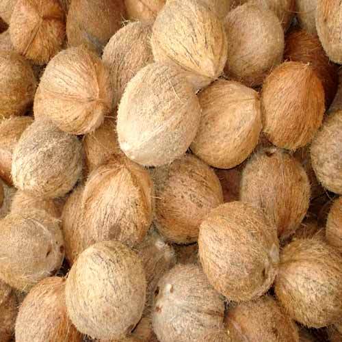 Fresh Coconuts