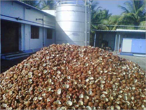 Dried Coconut