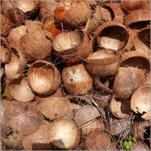 Coconut Shell
