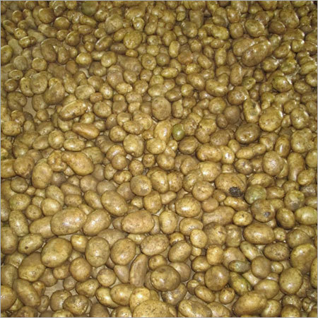 Potato Seeds
