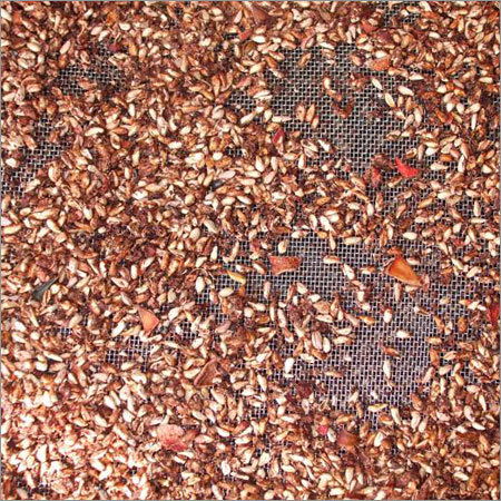 Pomegrate Pulp