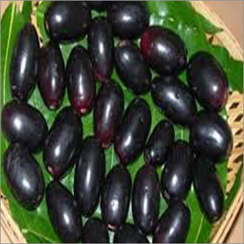 Jamun