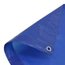 Blue Tarpoline