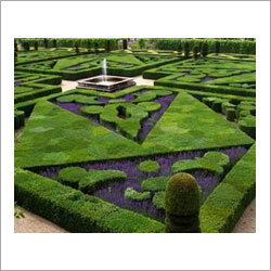 Landscaping Architectural Services