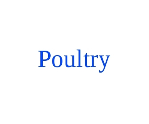 Poultry