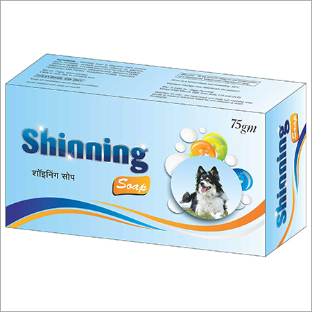Shinning Soap