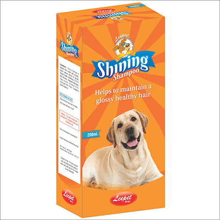Shining Shampoo