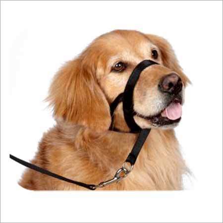 Dog Leashes