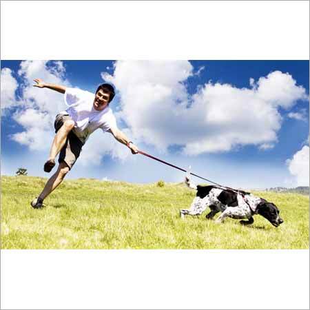 Dog Lead Coupler