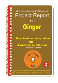 Projects on Ginger Cultivation - Digital/CD Guide, Survey-Based Data, Easy and Timely Delivery