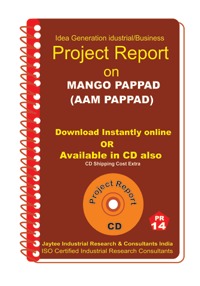 Project Report On Mango Pappad (Aam Pappad)