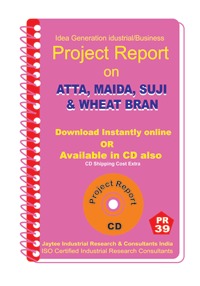 Project Report on AttaMaidaSujiWheat Bran Mill