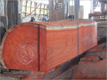 Timber Wood