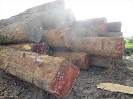 Padauk Wood Logs