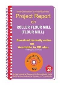 Project Report On Roller Flour Mill