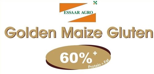 Golden Maize Gluten 60%