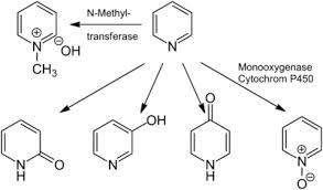 PYRIDEN