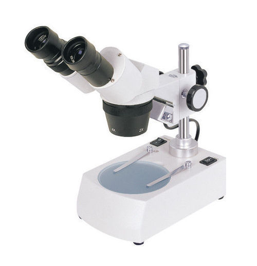 Stereo Microscope