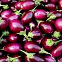 Brinjal
