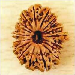 18 Mukhi Rudraksha