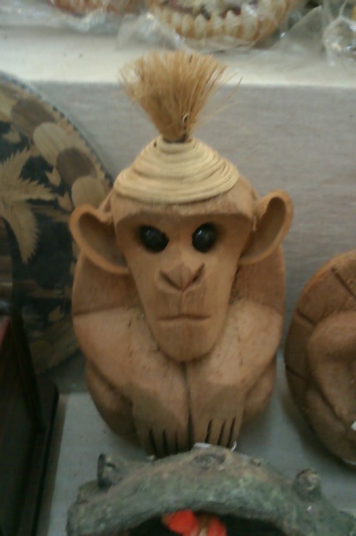 Coconut Monkey