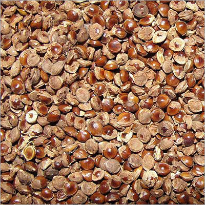 Kodo Millet