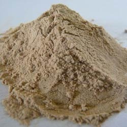 Spray Dried Gooseberry Powder
