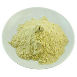 Spray Dried Guava Powder