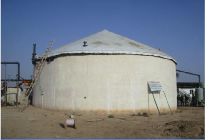 Ms/Ss Biogas Electricity Plant