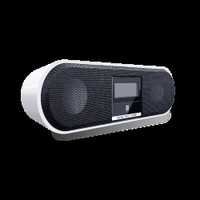 IBall Speakers (With Usb/Sd/Fm)