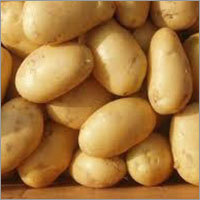 Potato - Beige, Oval Shape | Fresh, Nutritious, Versatile, High Yield, Easy to Cook, Firm Texture