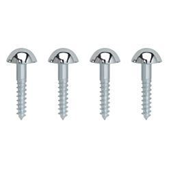 Brass Mirror Screw With SS Finish