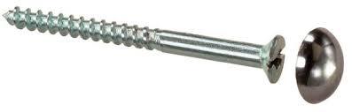 Brass Mirror Screw Full Size