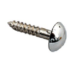 Brass Mirror Screw
