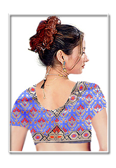 designer blouse 